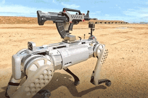 Schlachtfeld der Zukunft – wie Roboter die Kriegsführung umkrempeln