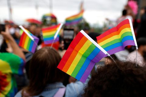 Abgeordnete sollen Regenbogenfahnen aus ihren Büros entfernen