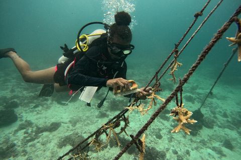 Überlebenskampf unter Wasser