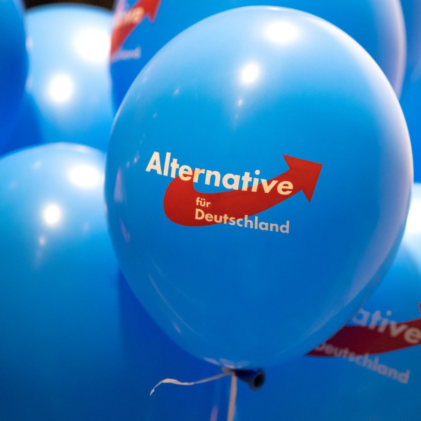 Rheinland-Pfalz: Kein pauschales Verbot für AfD-Bewerber