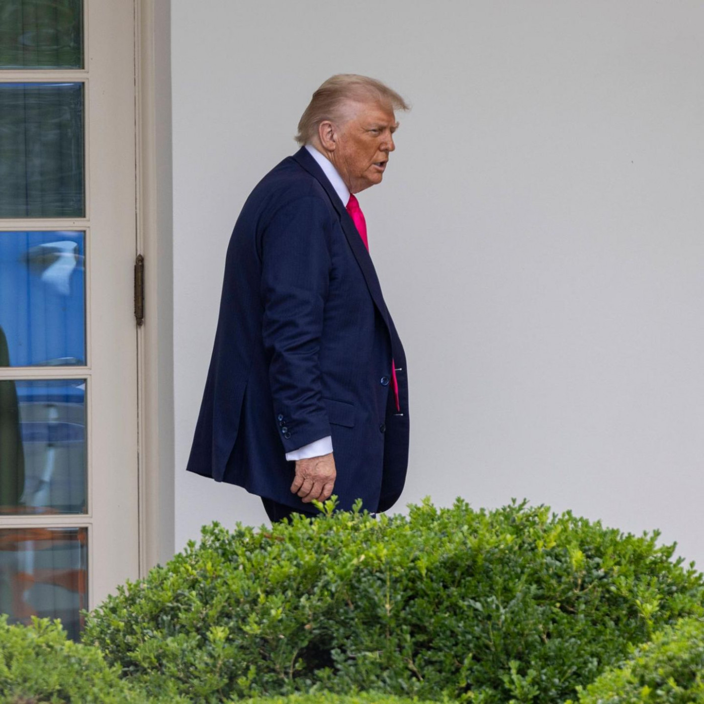Donald Trump könnte Albert Einstein in "Heldengarten" verewigen