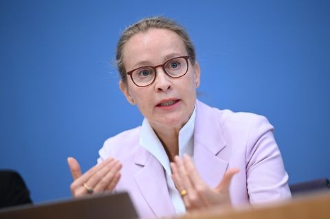 Gutachter sehen kein Plagiat in Doktorarbeit von Brosius-Gersdorf