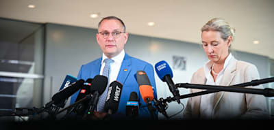 Plus von zwei Punkten – AfD und Linke gewinnen in Umfrage hinzu, Union fällt leicht