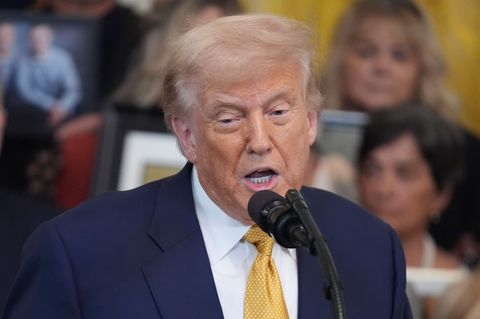 Donald Trump plant Veröffentlichung einiger Epstein-Unterlagen