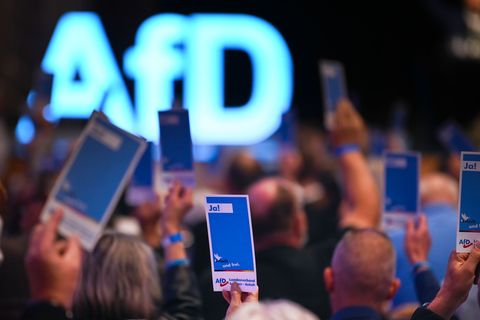 Debatte um neues AfD-Jugend-Logo: "Das hat ein bisschen NS-Ästhetik"
