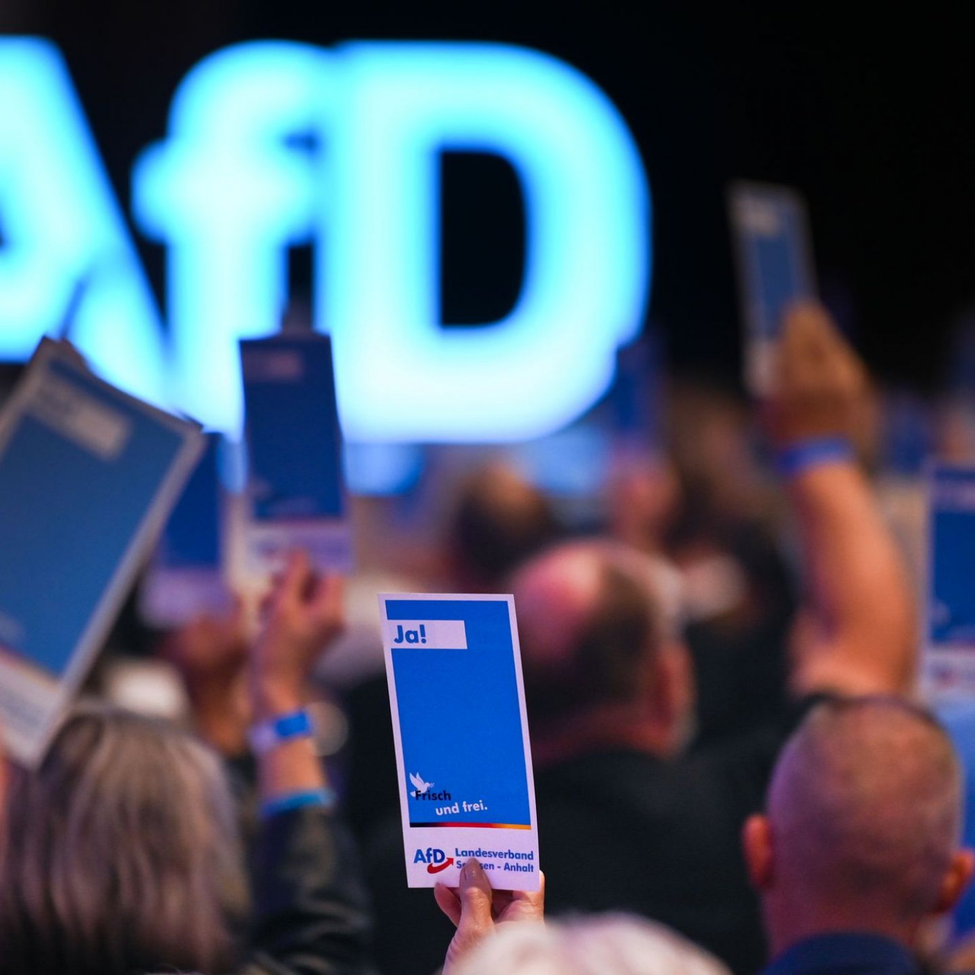 Diskussion über künftiges Logo der AfD-Parteijugend