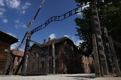 US-Republikaner schockt mit Auschwitz-Beitrag