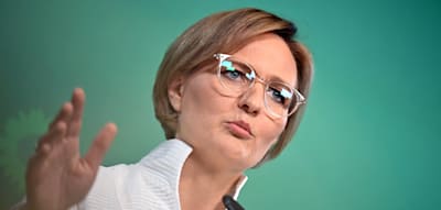 „Nicht bereit, Verantwortung im Bund zu übernehmen“ – Grünen-Co-Chefin distanziert sich von Linken