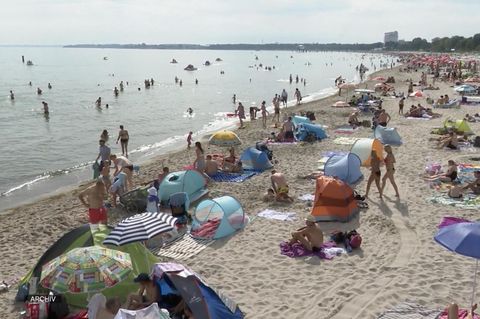 Vibrionen in der Ostsee: Wann der Keim gefährlich werden kann