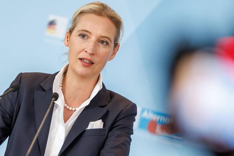 Wie die AfD wieder die Konkurrenz im Netz abhängt