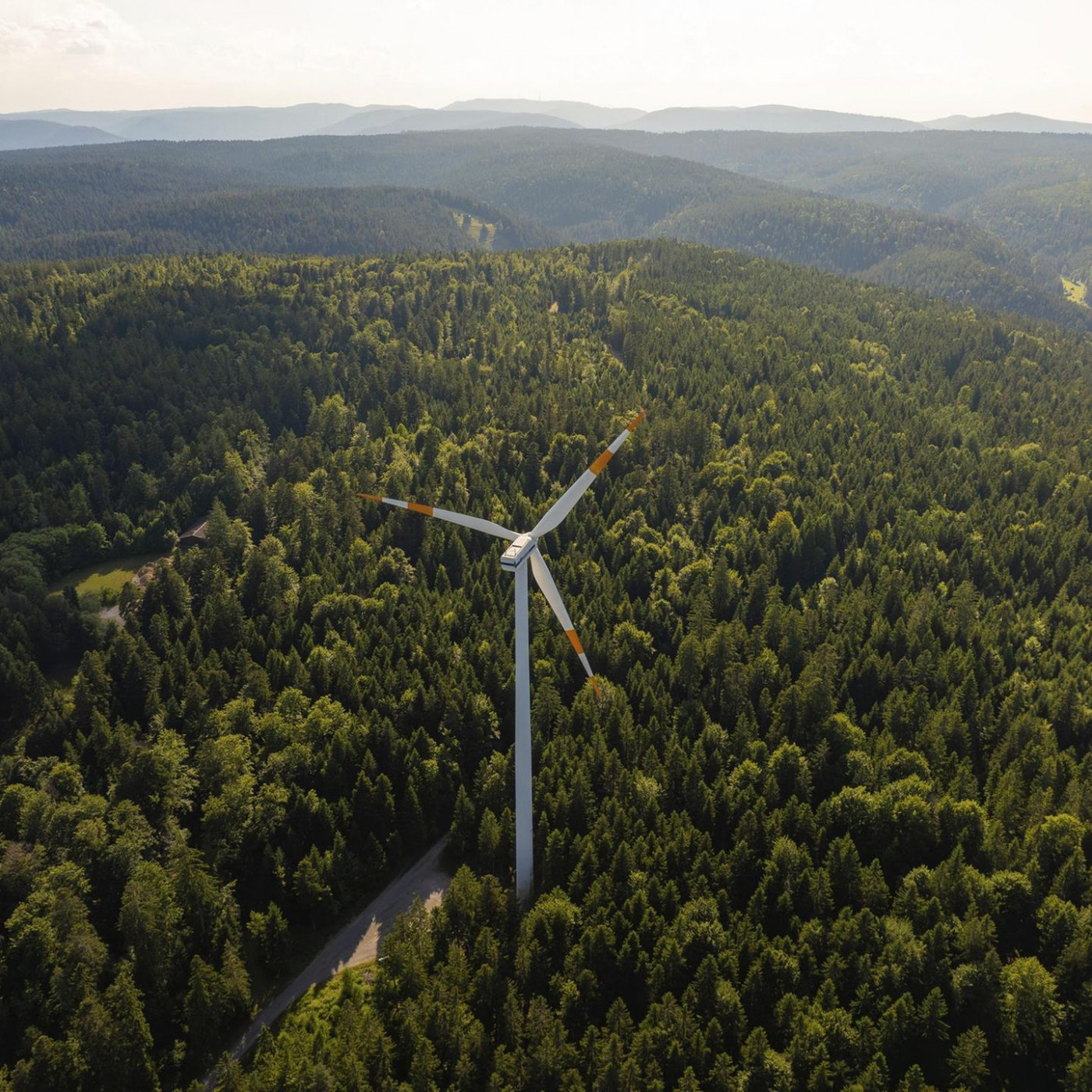 Ein Drittel der Bürger meint, Deutschland setze zu stark auf erneuerbare Energien