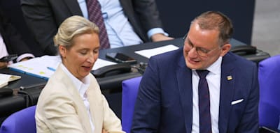 AfD erreicht in Umfrage Rekordwert – Schwarz-Rot auf neuem Tiefpunkt