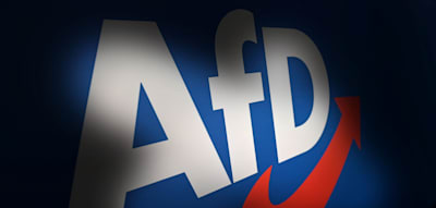 „Das ist kein Geheimplan“ – Brandenburger AfD-Gutachten angeblich im Internet einsehbar