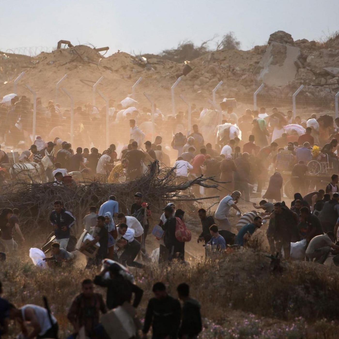 Die Hungerspiele von Gaza: Wie Hilfszentren zu Todesfallen werden