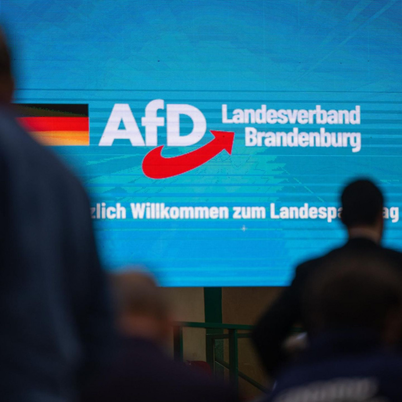 AfD in Brandenburg verstößt laut Verfassungsschutz gegen Menschenwürde