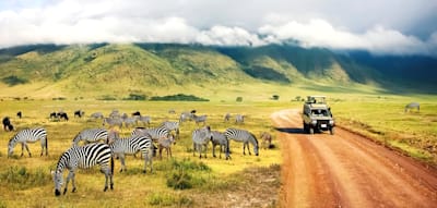 Abenteuer in Tansania und Namibia erleben