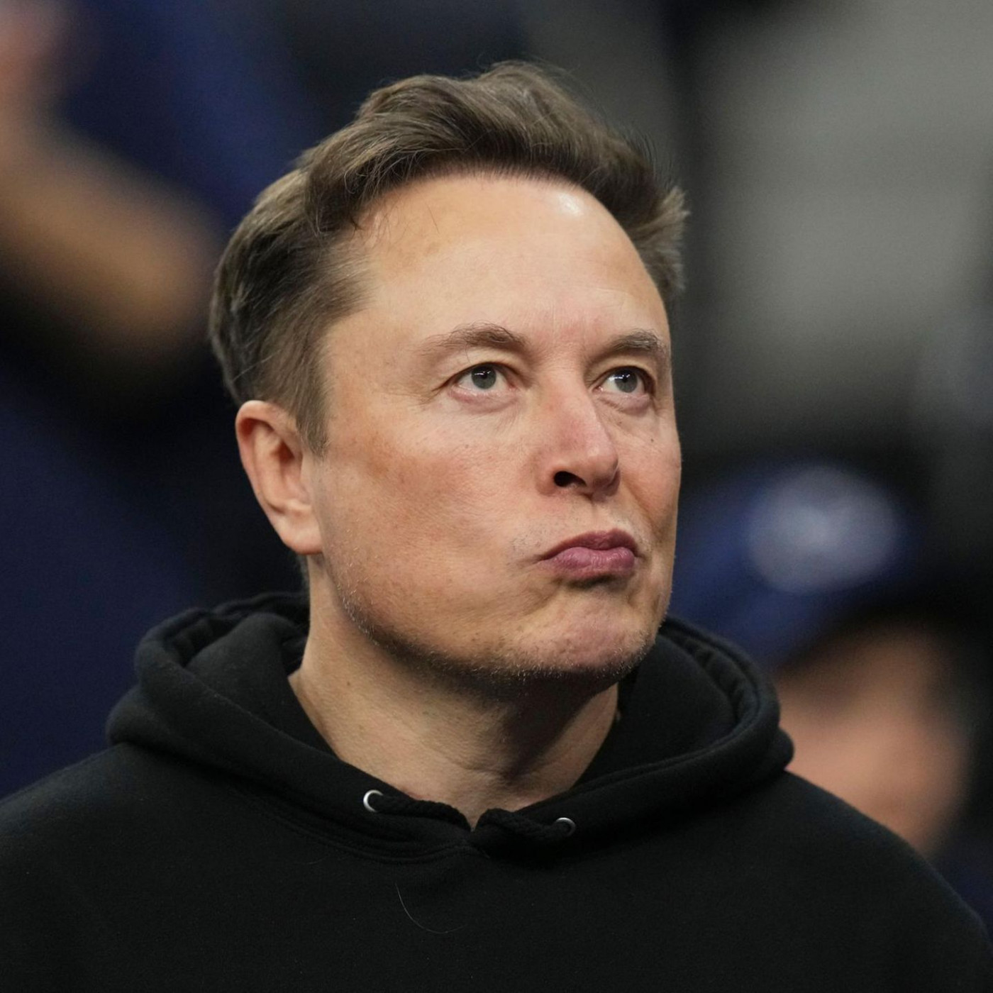Elon Musk muss wegen Betrugsvorwürfen vor Gericht