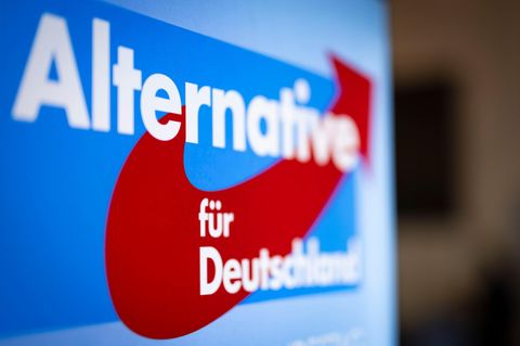 AfD zieht wegen Verdachtsfall-Einstufung vor Verfassungsgericht
