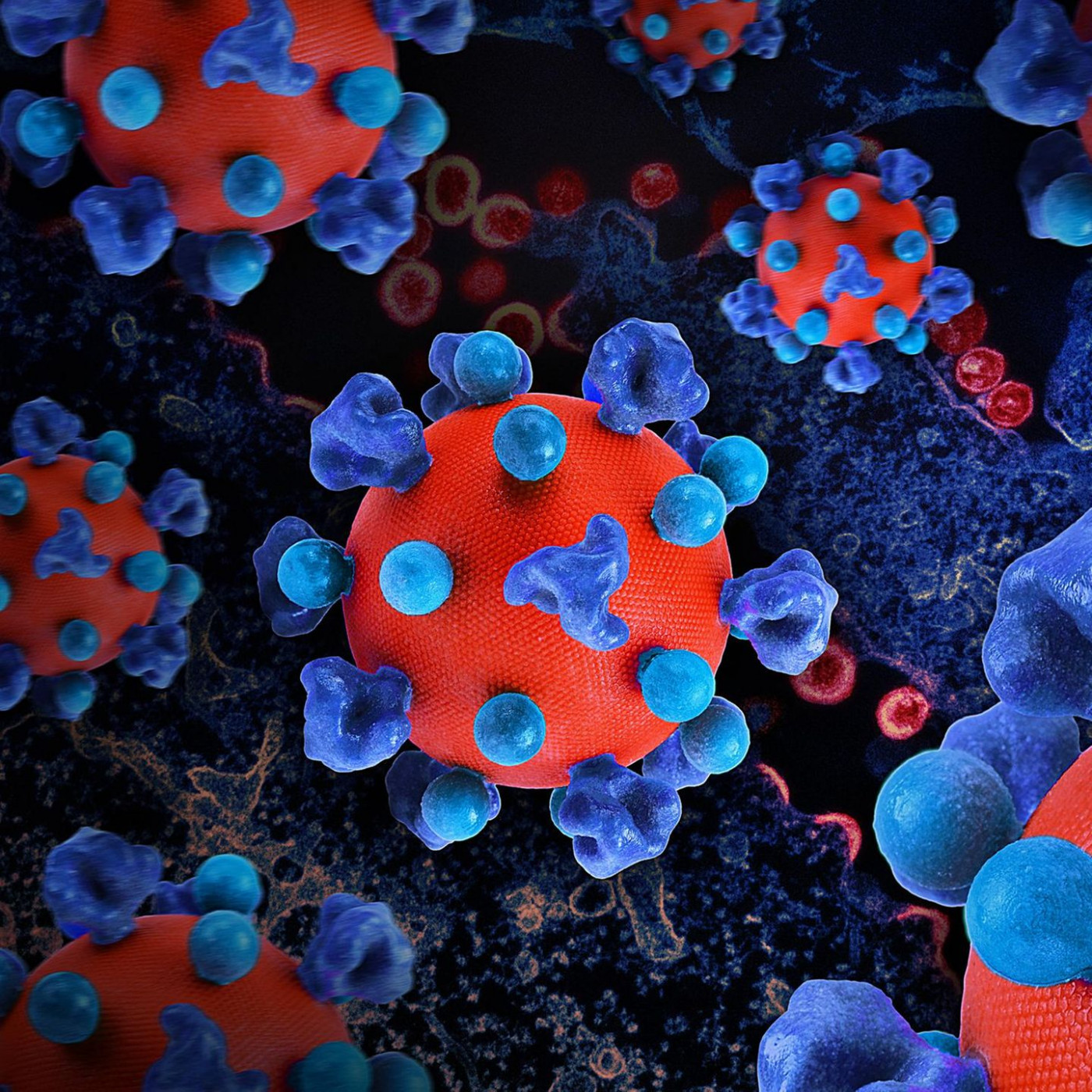 Kommt die Impfung gegen HIV? Neue Studie macht vorsichtig Hoffnung