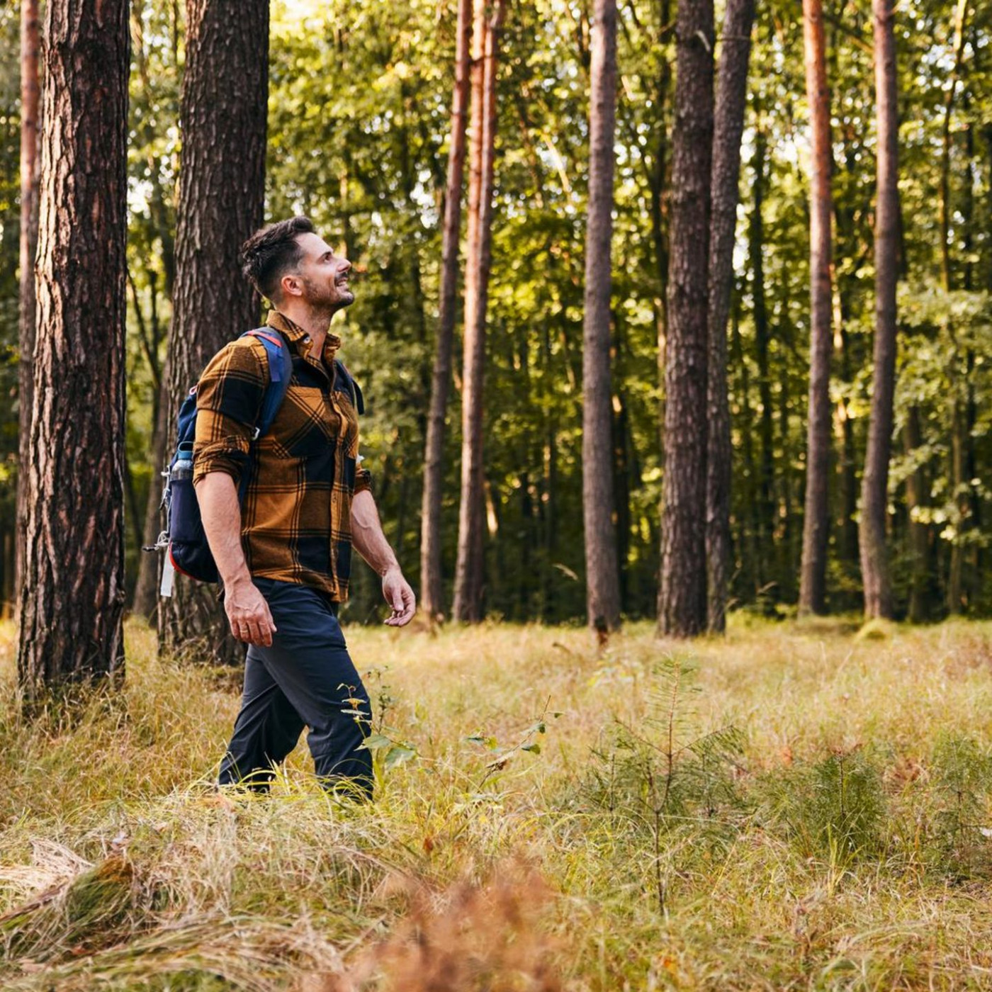 "Naturpille" Wald: So laufe ich den Stress der Woche einfach raus