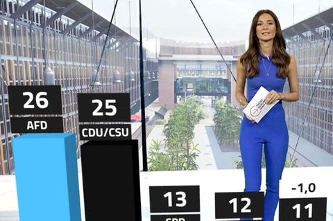 AfD hält Vorsprung zur Union, Linke lässt leicht nach