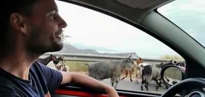 Verlass dich nicht auf Google Maps! Sechs Lektionen für Urlaub in Albanien