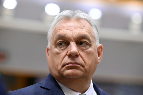 Videos von Grundstück der Orbán-Familie sorgen für Empörung