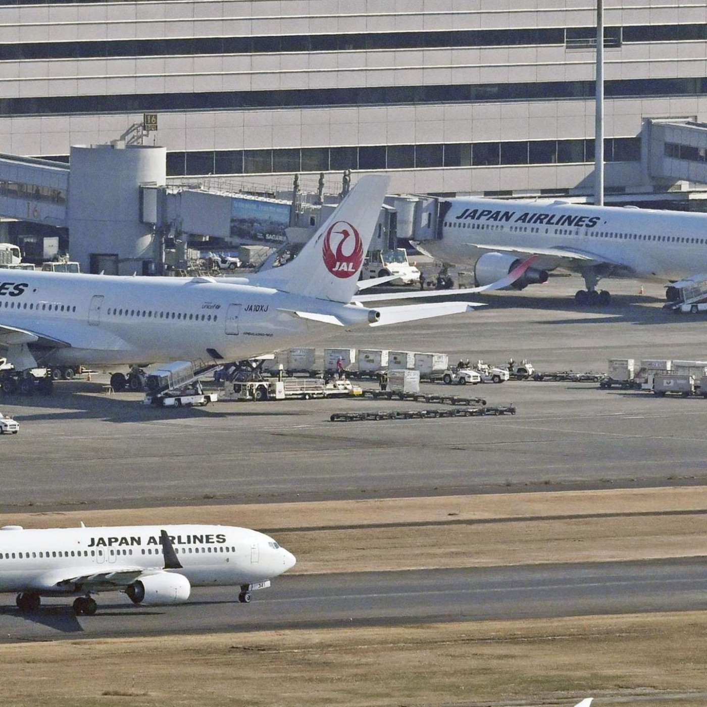 Verspätungen bei japanischer Fluglinie, weil Pilot zu viel Alkohol trank
