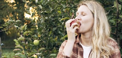 Wissenschaftler entwickeln Äpfel, die auch Allergiker essen können