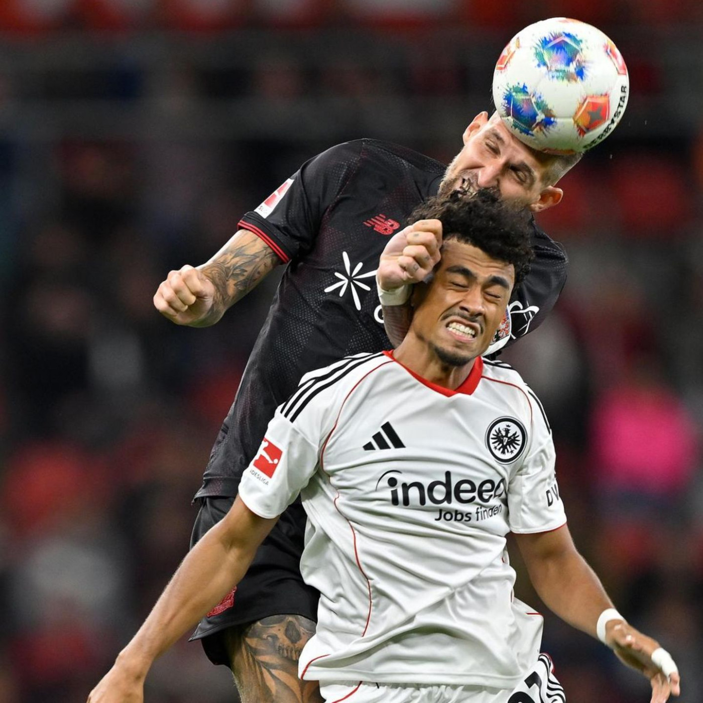 Kontaktsport: Jeder Stoß gegen den Kopf ist einer zu viel