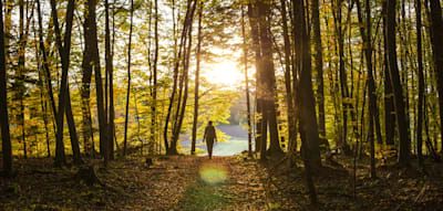 Mit dieser Strategie vermeiden Sie im Herbst psychische Verstimmungen