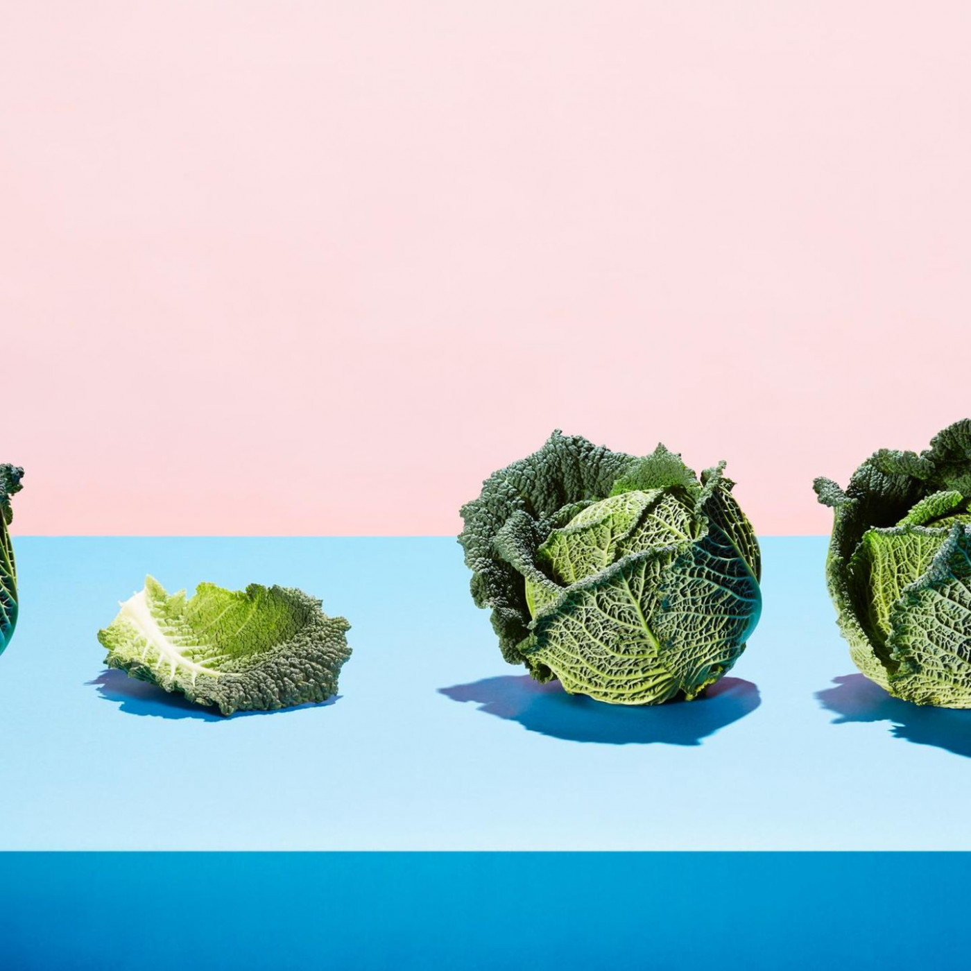 Superfood im Herbst: Kohlossal gesund!