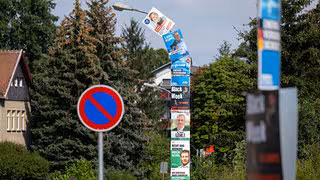 Schulterschluss der Demokratie kann AfD in Ämtern verhindern
