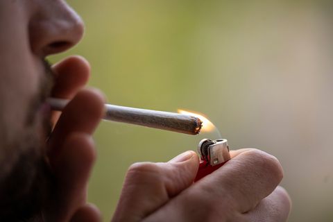 Cannabis-Schwarzmarkt bisher kaum verdrängt