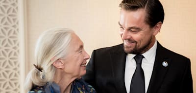 „Wahre Heldin“ – weltweite Trauer um Jane Goodall, DiCaprio mit emotionaler Würdigung