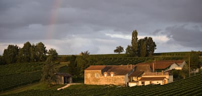 Und zwischendurch ein Gläschen – Radtour durch die Weinberge Frankreichs