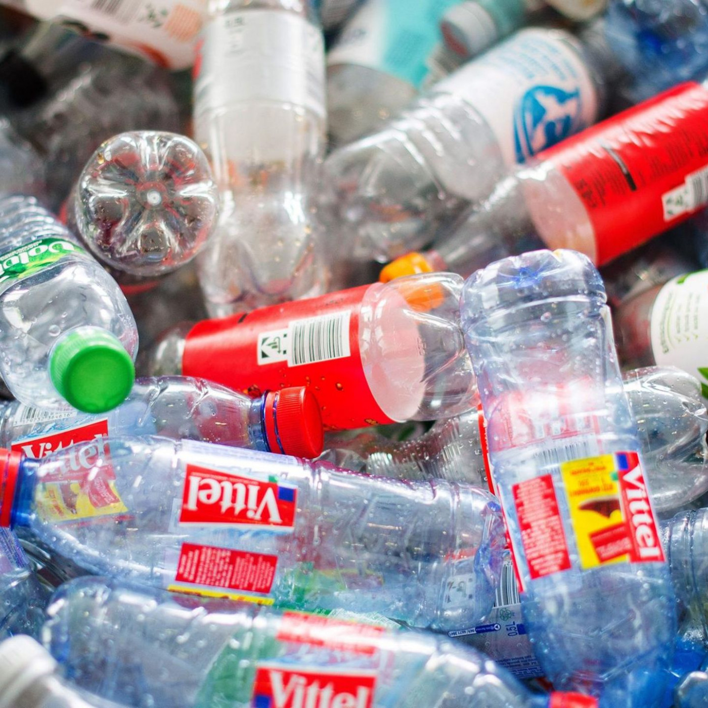 Plastikchemikalien-Belastung im Alltag – Reporter machen den Test
