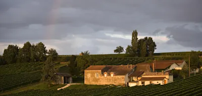 Und zwischendurch ein Gläschen – Radtour durch die Weinberge Frankreichs
