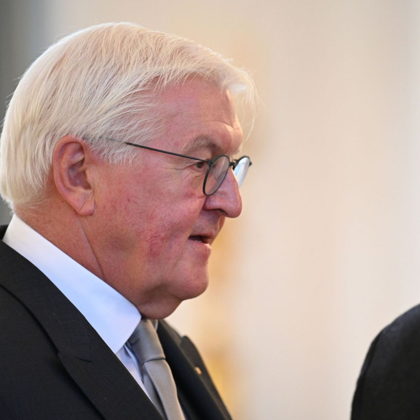Steinmeier zweifelt am Losverfahren für Wehrdienst