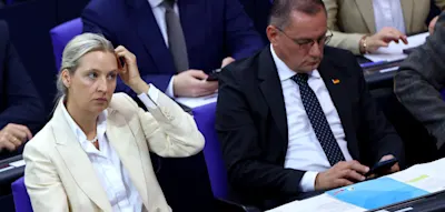 Texte von Alice Weidel „geklaut“? AfD-Chefin erhebt Vorwürfe gegen Magazin „The European“