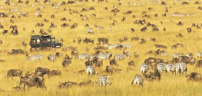 Die kostspieligsten Safari-Lodges in Afrika
