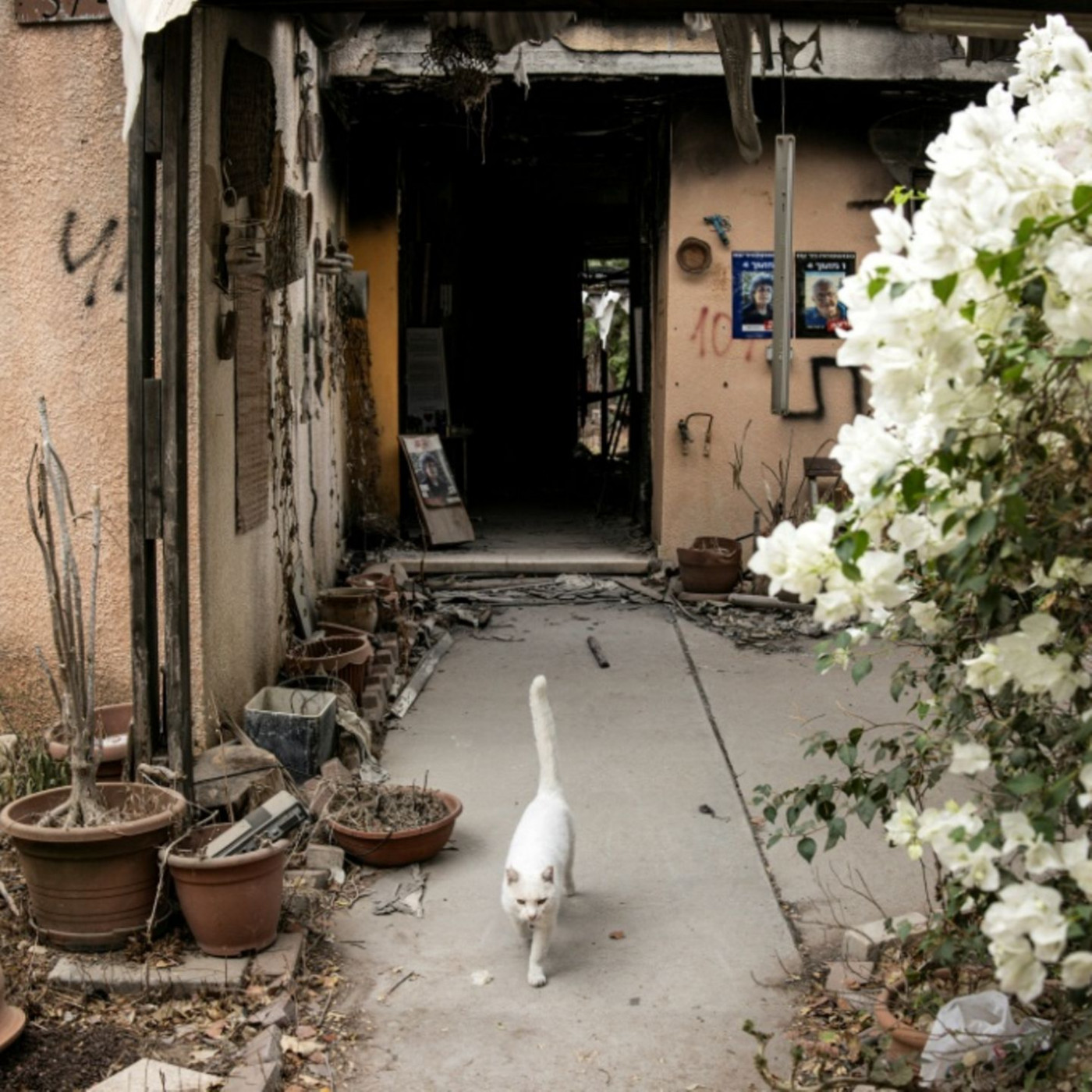 Leiche von Deutsch-Israeli und weiterer Hamas-Geisel identifiziert