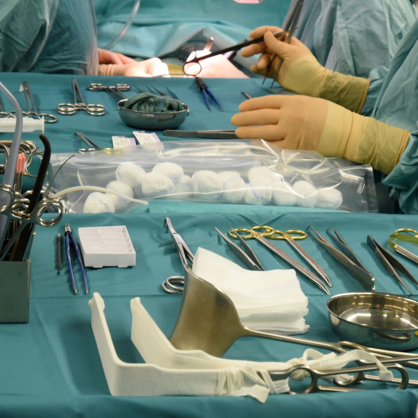 Organspende wird reformiert - Wie zu mehr Nieren?