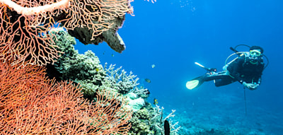 Diese indonesische Insel ist zum Abtauchen schön