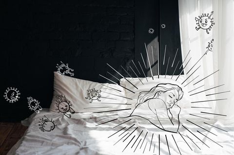 Was unser Immunsystem wirklich stark macht