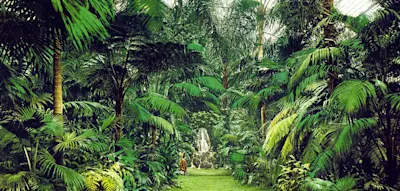 Wenn es kalt wird, hilft die Flucht in Deutschlands tropische Biotope