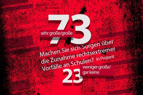 Umfrage: AfD-Anhänger weniger besorgt über Rechtsextremismus an Schulen