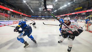Schwächstes DEL-Team bisher? In Dresden kippt die Stimmung
