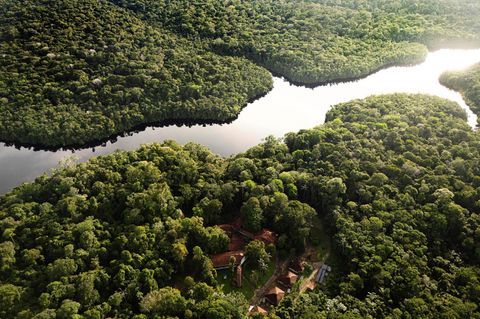 Eröffnet Brasilien jetzt die große Greenwashing-Aktion im Amazonas?