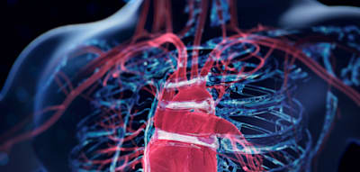 99 Prozent aller Herzinfarkte und Schlaganfälle sind auf diese Faktoren zurückzuführen